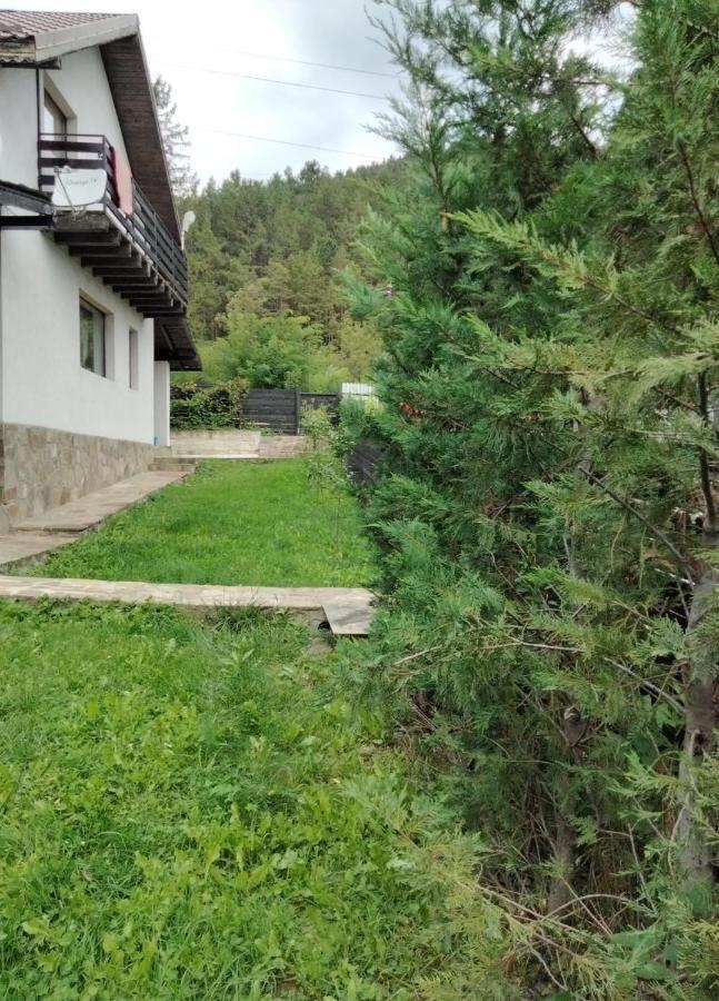 Vila Roxana Pangarati Екстер'єр фото