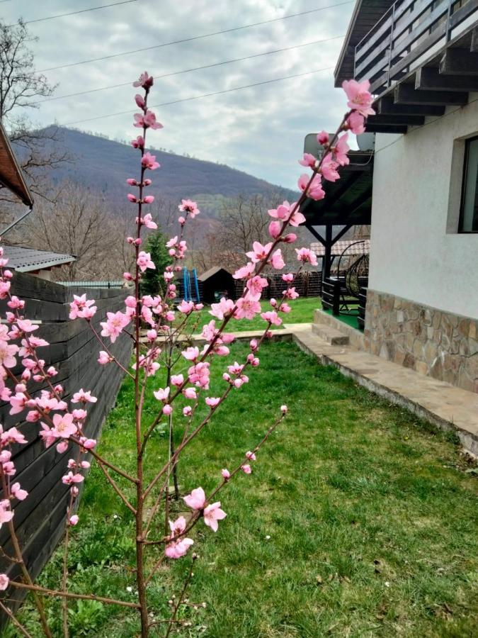 Vila Roxana Pangarati Екстер'єр фото